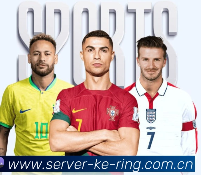 未来规划