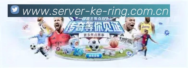 内容板块