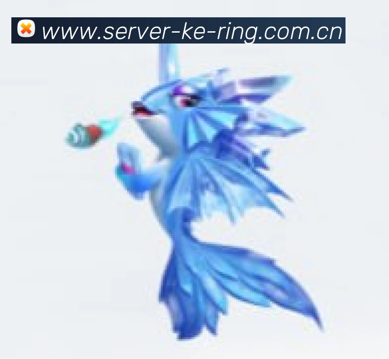 全场景服务